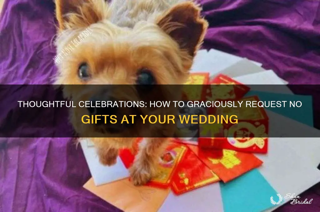 how to request no gifts at a wedding