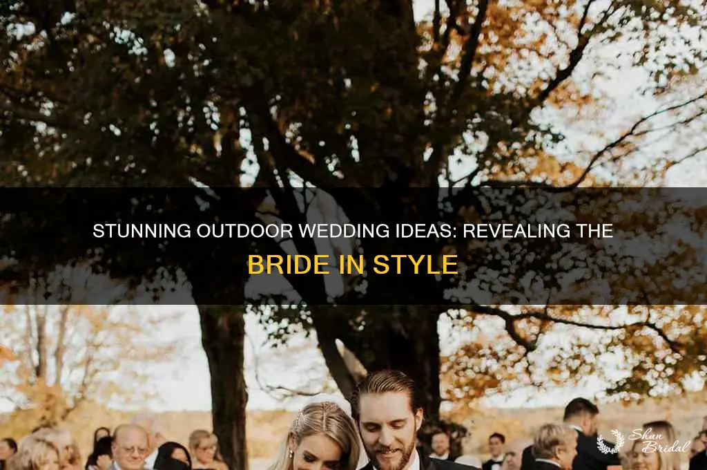 how to reveal a bride at outdoor wedding