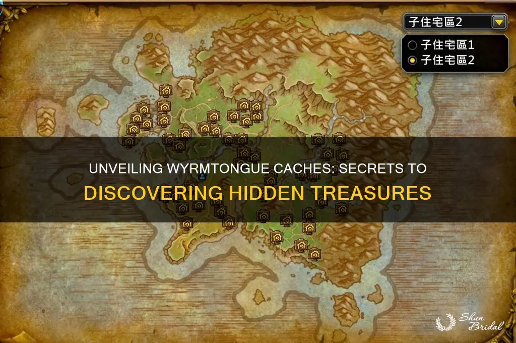 how to reveal veiled wyrmtongue caches
