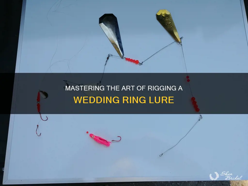 how to rig a wedding ring lure