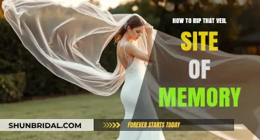 Unveiling the Past: Techniques to Rip the Veil of Memory