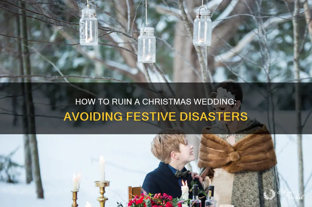 how to ruin a christmas the wedding