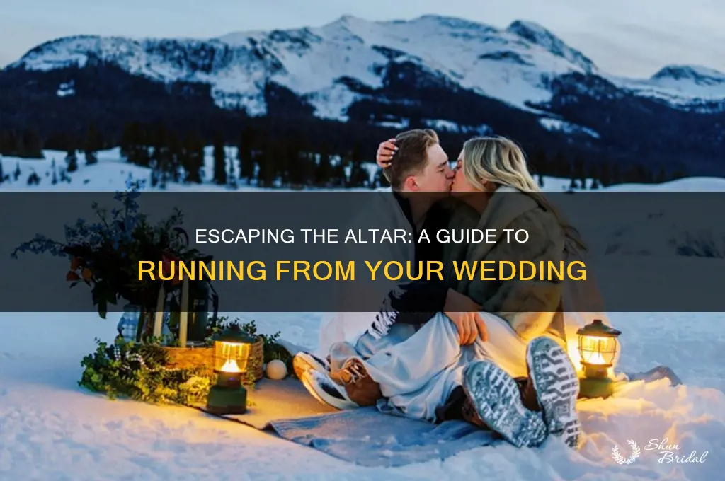 how to run away from your own wedding