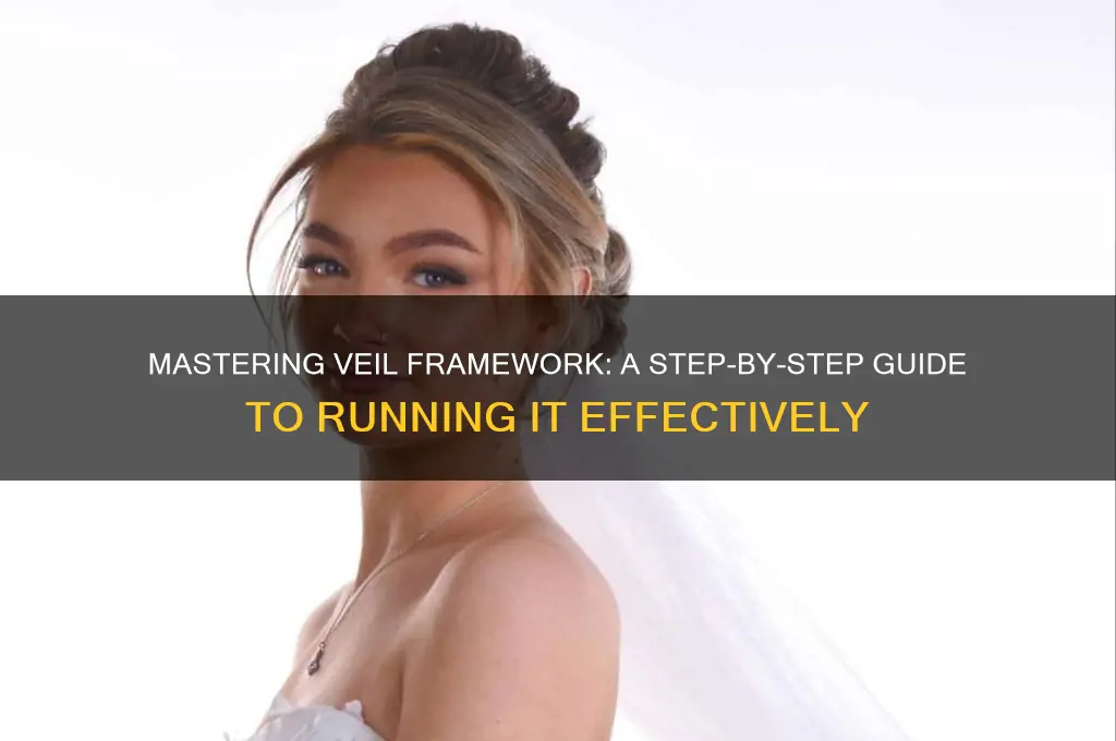 how to run veil framework
