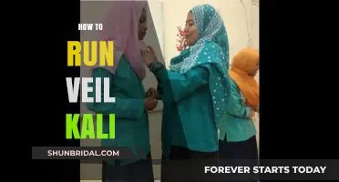 Mastering Veil Kali: A Step-by-Step Guide to Running It Effectively