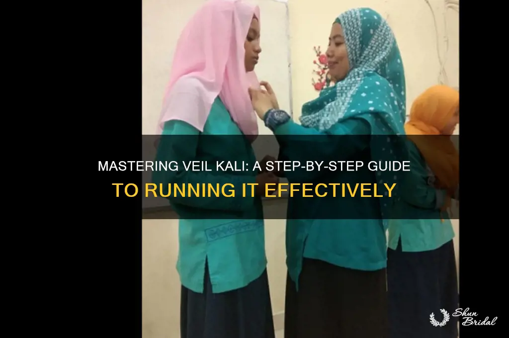 how to run veil kali