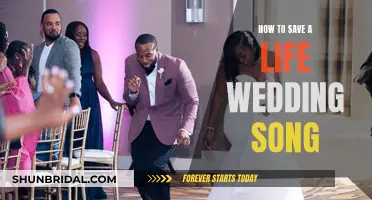 How to Save a Life': A Wedding Song's Stor