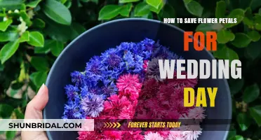 Preserving Petals: A Guide to Saving Flowers for Your Wedding Day