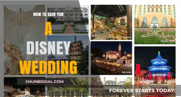 Dream Disney Wedding Savings Guide: Budgeting Tips for Your Fairy Tale