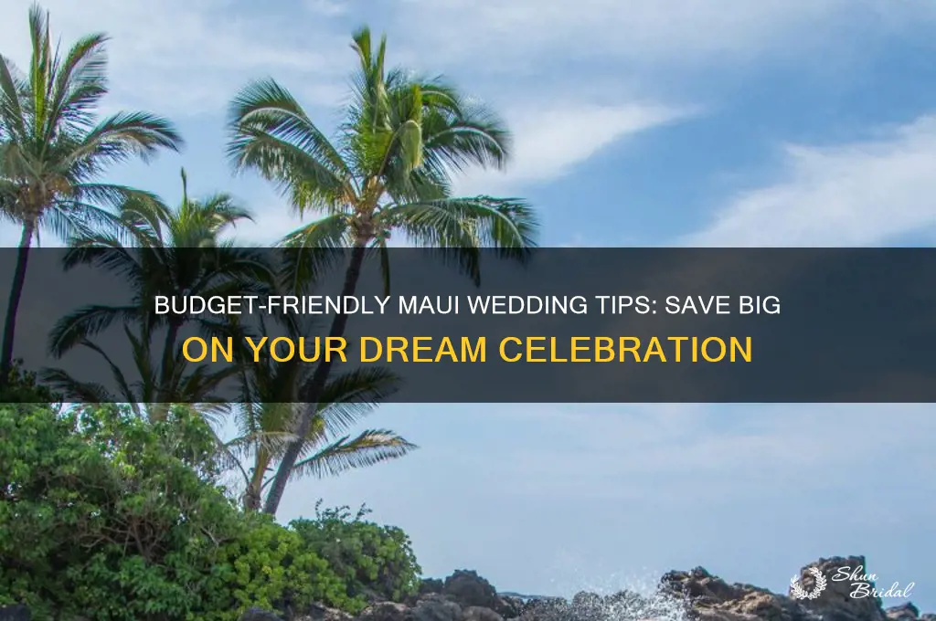 how to save money on maui wedding
