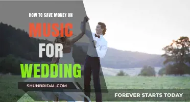Budget-Friendly Wedding Music Tips: Save Big on Your Special Day