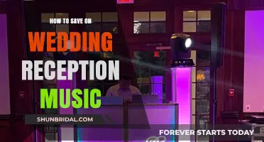 Strategies to Save on Wedding Reception Music