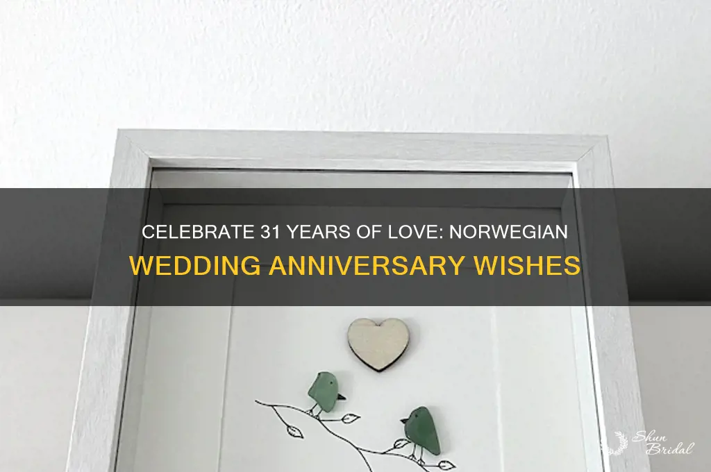 how to say happy 31 wedding anniversary in norwegian