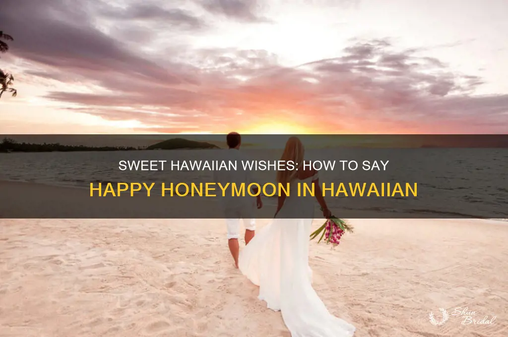 how to say happy honeymoon in hawaiian