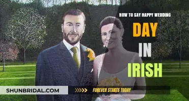 Celebrate Love in Irish: Saying 'Happy Wedding Day' in Gaelic
