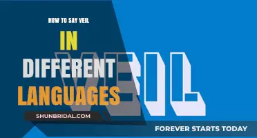 Veil Vocabulary: How to Say Veil in Different Languages