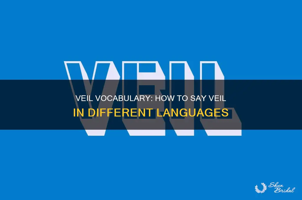 how to say veil in different languages