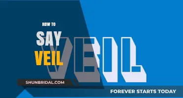 Mastering Pronunciation: How to Say 'Veil' Correctly in English