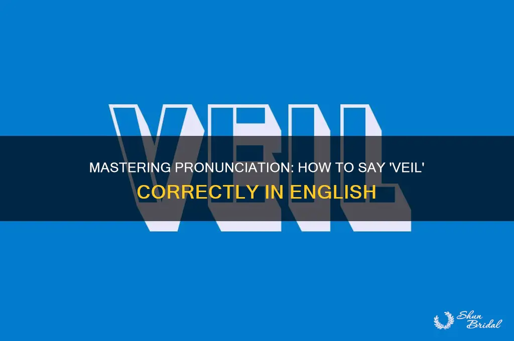 how to say veil