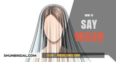 Mastering the Art of Saying 'Veiled' in Different Contexts and Languages