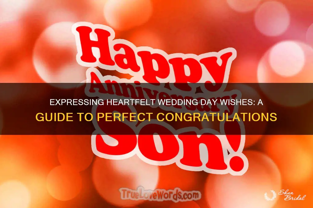 how to say wedding day wishes