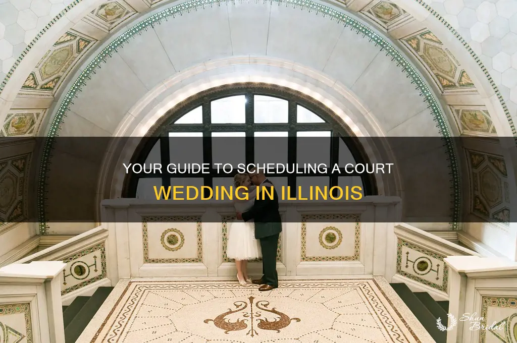 how to schedule a court wedding il