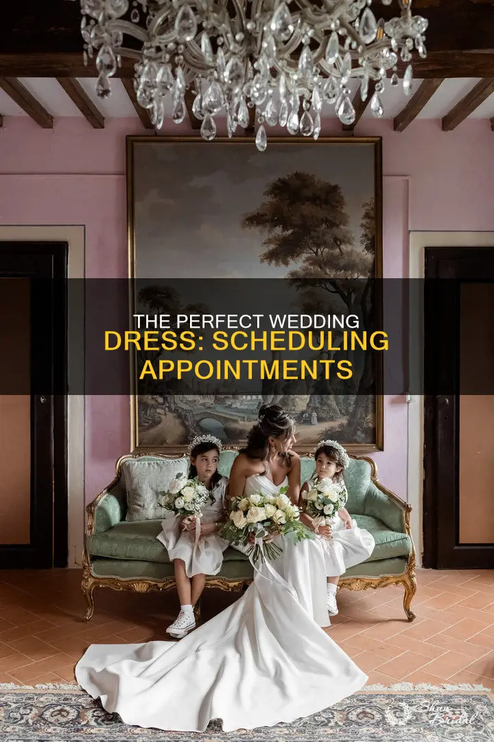 how to schedule wedding dress appointments