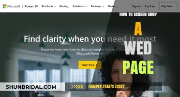 Mastering Web Page Screenshots: A Step-by-Step Guide for Beginners