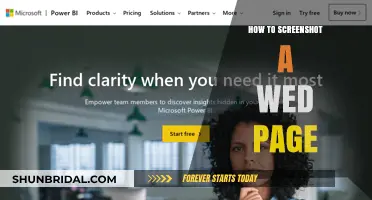 Mastering Web Page Screenshots: Easy Steps for Any Device