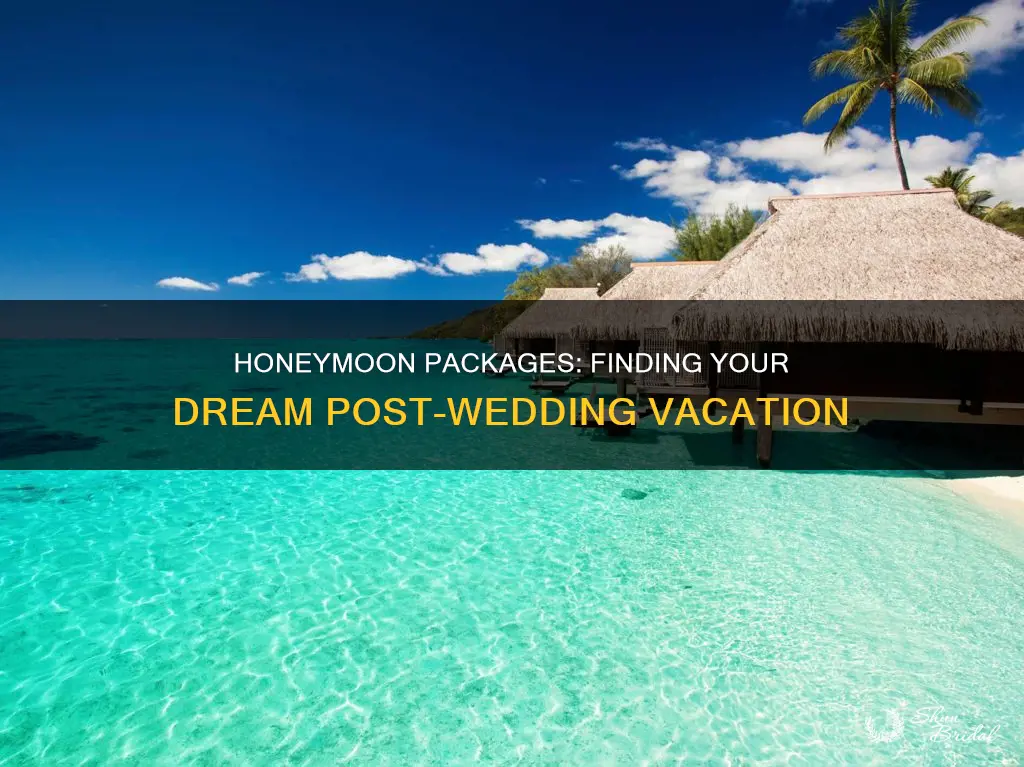 how to search for honeymoon packages