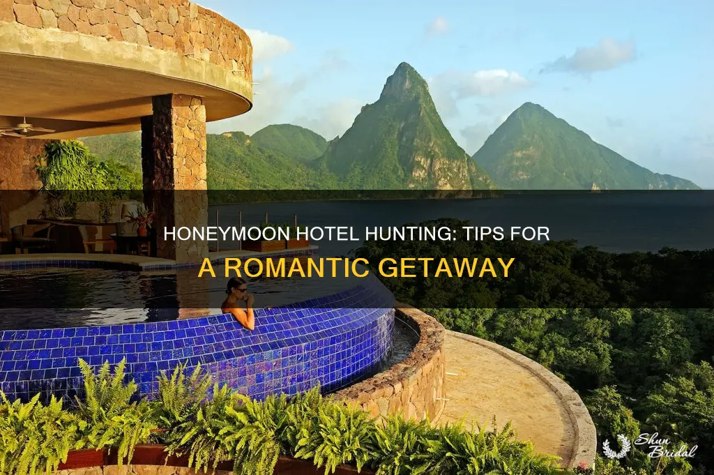 how to search for hotels for honeymoon