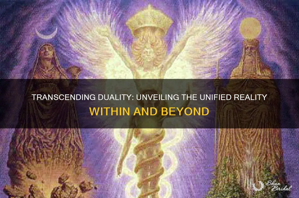how to see beyond the veil of duality