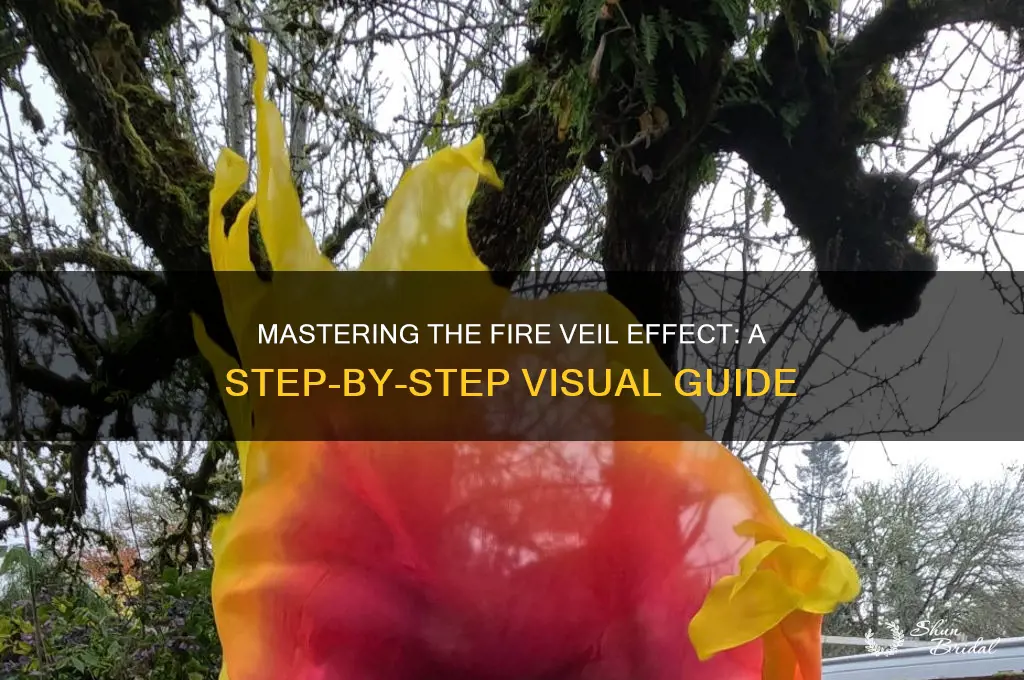 how to see fire veil effecrt