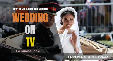 Harry-Meghan Wedding: TV Viewing Guide