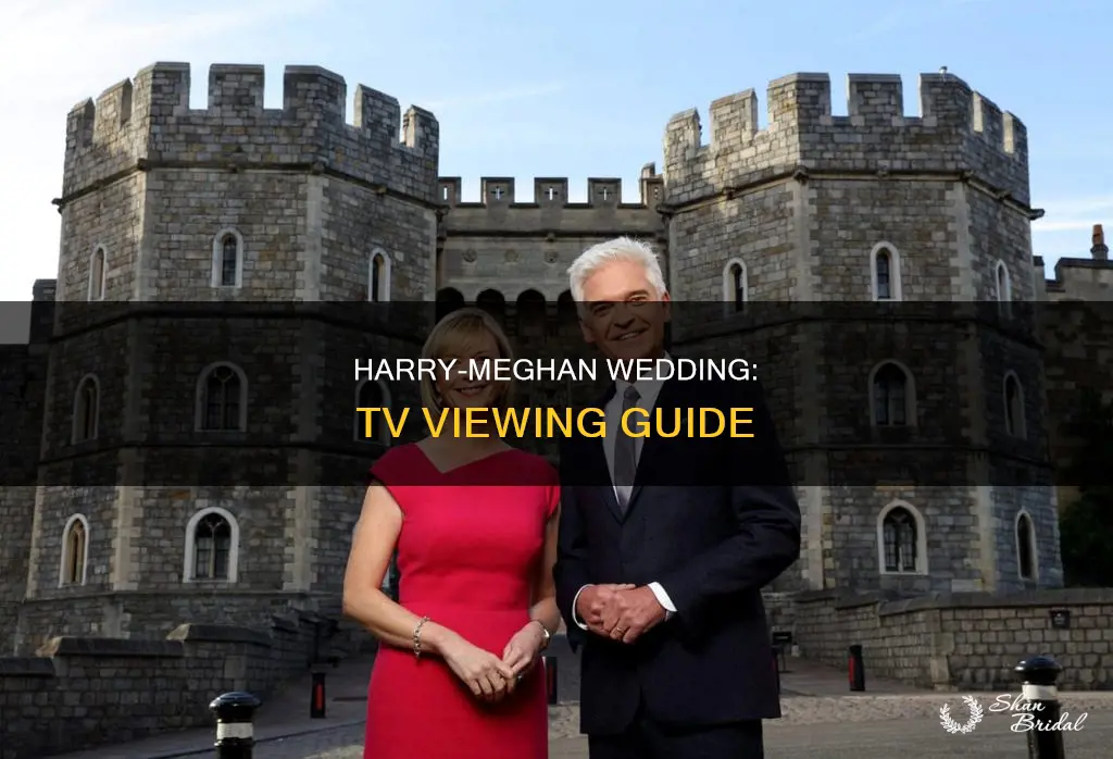 how to see harry and meghan wedding on tv