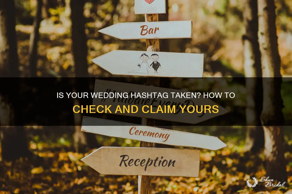 how to see if wedding hashtag ia taken