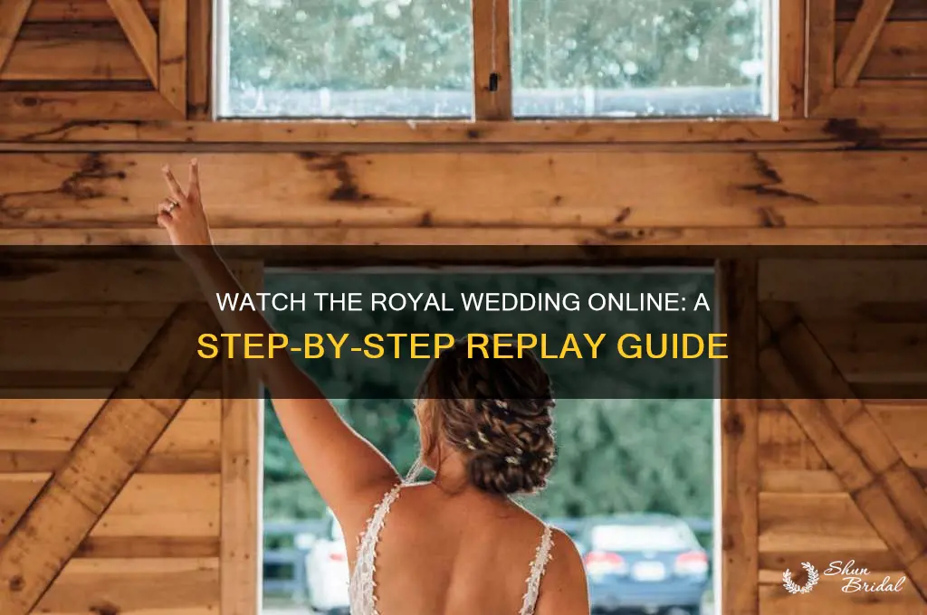 how to see royal wedding on internet after the fact
