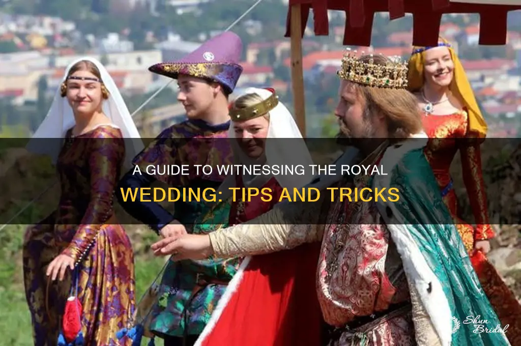 how to see royal wedding