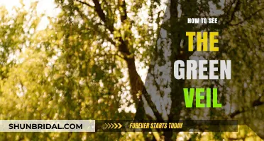 Unveiling Nature's Mystery: A Guide to Witnessing the Green Veil