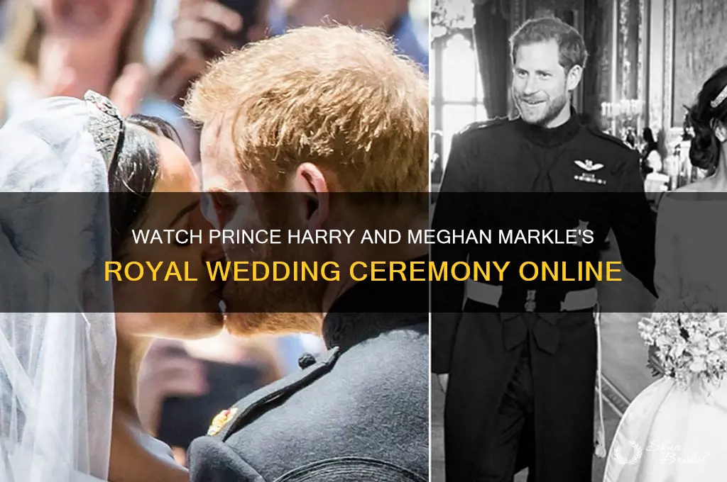 how to see the markle prince harry wedding ceremony