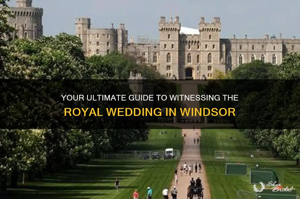 how to see the royal wedding in windsor