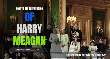 Harry-Meghan: How to Watch the Wedding