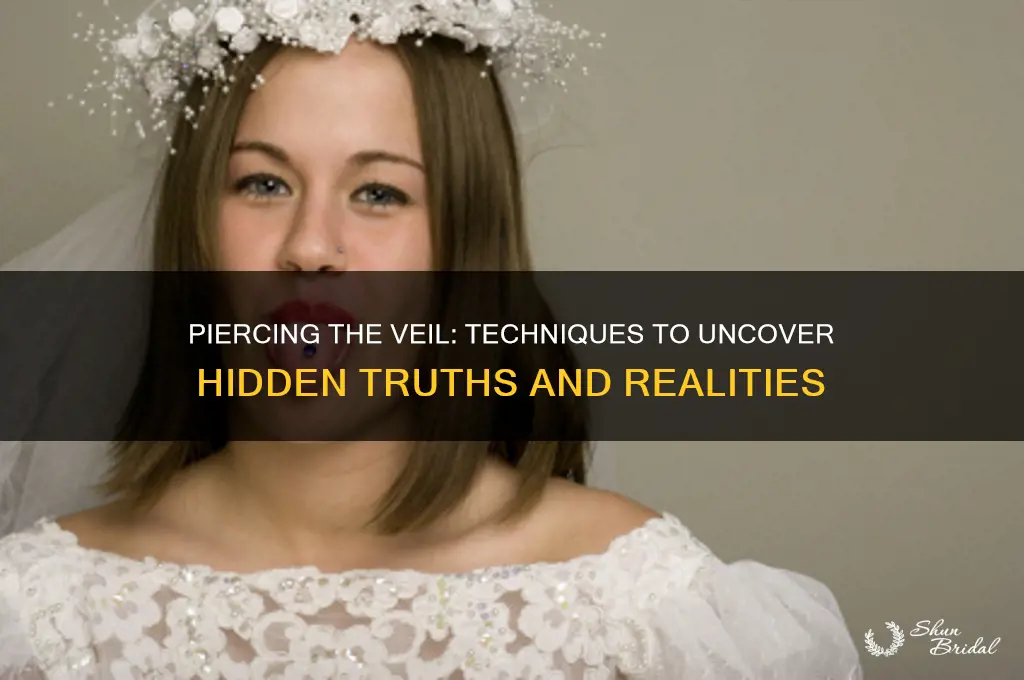 how to see through the veil