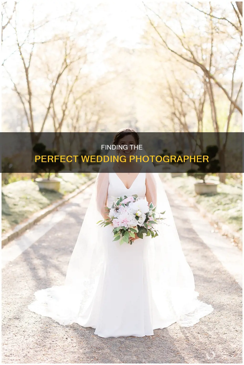 how to see wedding photographer