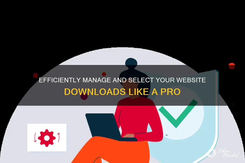 how to sele your dwonloads in your wed