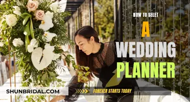 Finding the Perfect Wedding Planner for Your Big Day