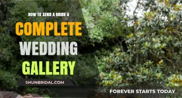 Delivering Wedding Memories: A Guide to Sharing the Bride's Gallery