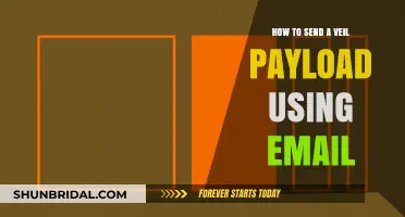 Mastering Veil Payloads: A Step-by-Step Guide to Email Delivery