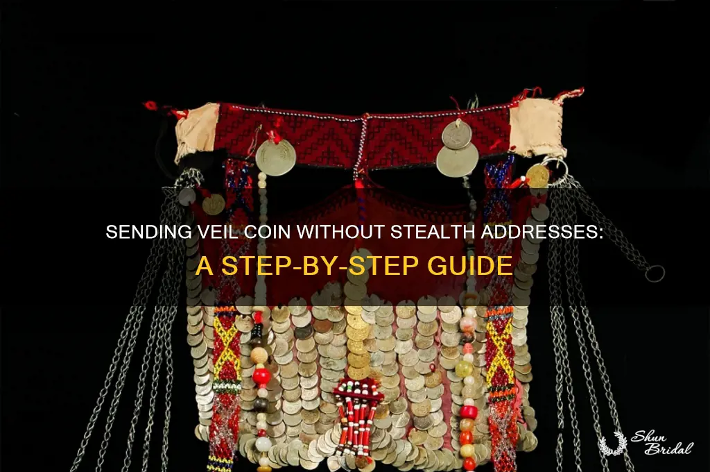 how to send veil coin not stealth address