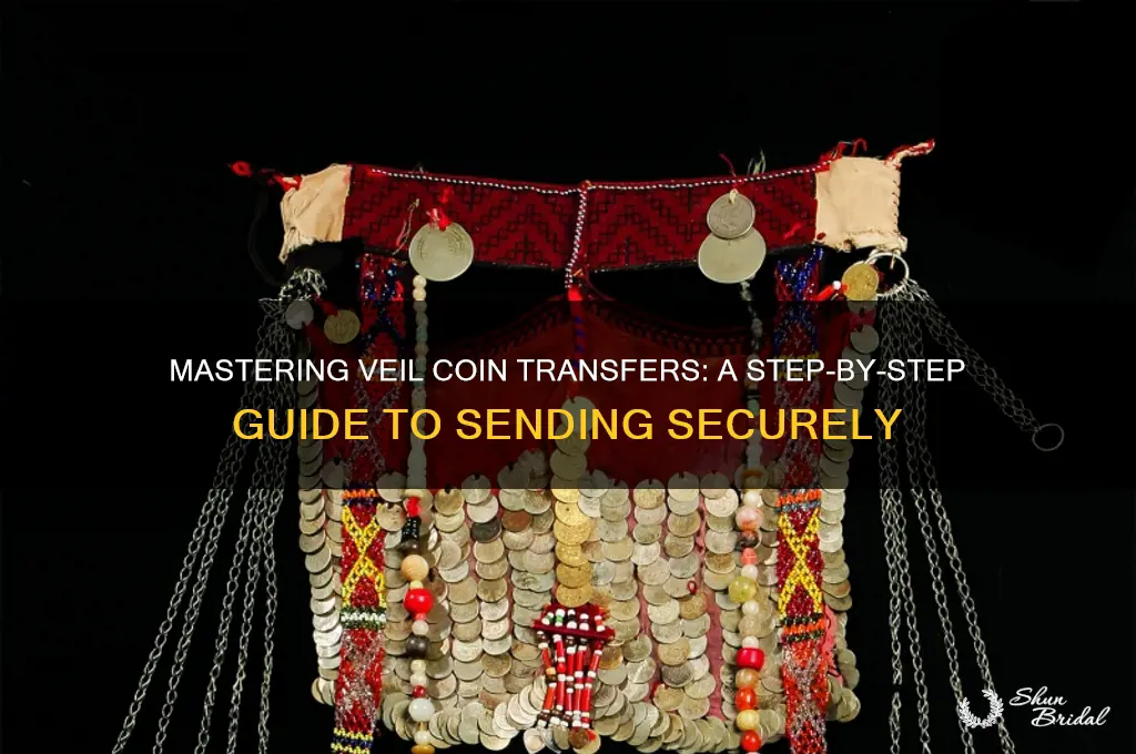 how to send veil coins